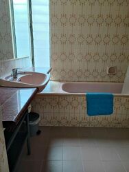 Pandan Valley (D21), Condominium #458450661